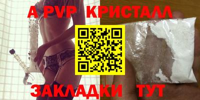 стаф Будённовск